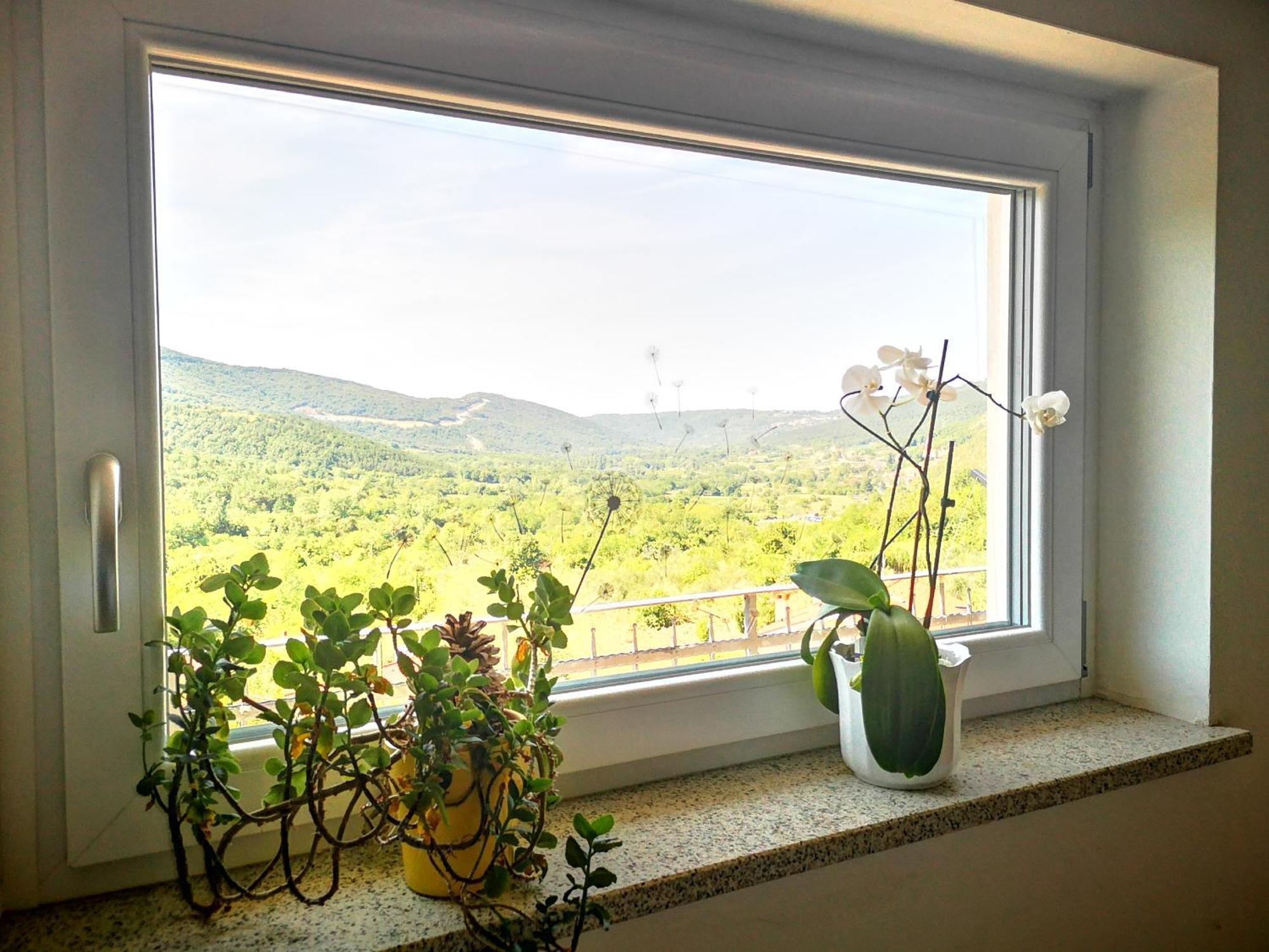 Apartma Ceh Gabrovica pri Crnem Kalu Exterior photo